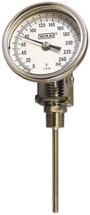 Wika - 15 Inch Long Stem, Stainless Steel, Back Connected Bi-Metal Thermometer - 10 to 260°C, 1% Accuracy - Americas Tooling