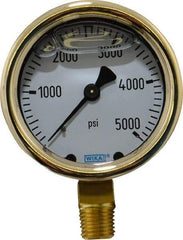 Wika - 2-1/2" Dial, 1/4 Thread, 0-5,000 Scale Range, Pressure Gauge - Lower Connection Mount, Accurate to 1.5% of Scale - Americas Tooling