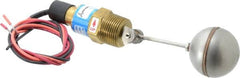 Thomas Products Ltd. - 1" Thread, 900 Max psi, 300°F Max, Liquid Level Side Mounted Float Switches - Brass Stem - Americas Tooling