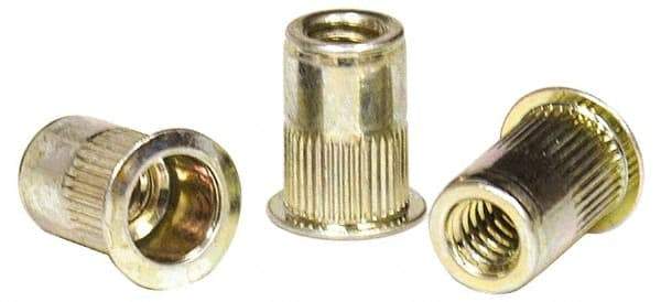 RivetKing - 0.02 to 0.13" Grip, Steel Standard Rivet Nut - Zinc Yellow Dichromate Finish, Full Head Head - Americas Tooling