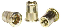 RivetKing - #8-32, 0.02 to 0.08" Grip, Steel Standard Rivet Nut - Zinc Yellow Dichromate Finish, Countersunk Head - Americas Tooling