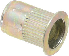 RivetKing - 0.02 to 0.13" Grip, Steel Standard Rivet Nut - Zinc Yellow Dichromate Finish, Full Head Head - Americas Tooling