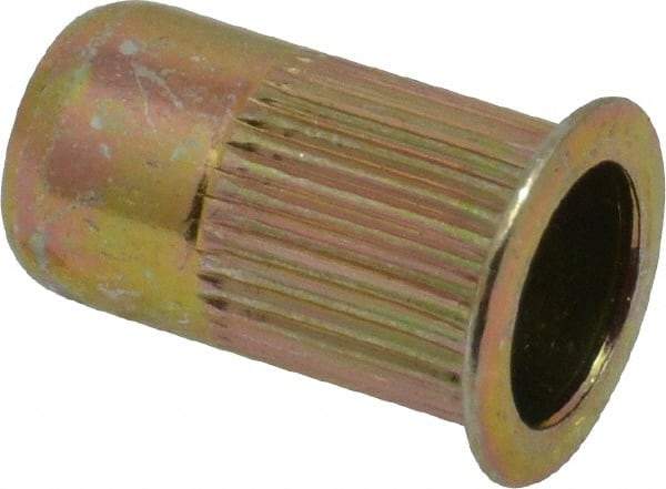 RivetKing - 0.13 to 0.225" Grip, Steel Standard Rivet Nut - Zinc Yellow Dichromate Finish, Flange Head - Americas Tooling