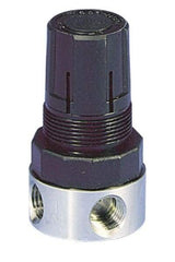 Parker - 1/4 NPT Port, 12 CFM, Stainless Steel Miniature Regulator - 0 to 60 psi Range, 300 Max psi Supply Pressure, 1/4" Gauge Port Thread, 1.56" Wide x 3.06" High - Americas Tooling