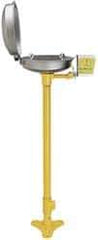 Bradley - Pedestal Mount, Stainless Steel Bowl, Eyewash Station - 1/2" Inlet, 30 psi Flow, 0.4 GPM Flow Rate - Americas Tooling