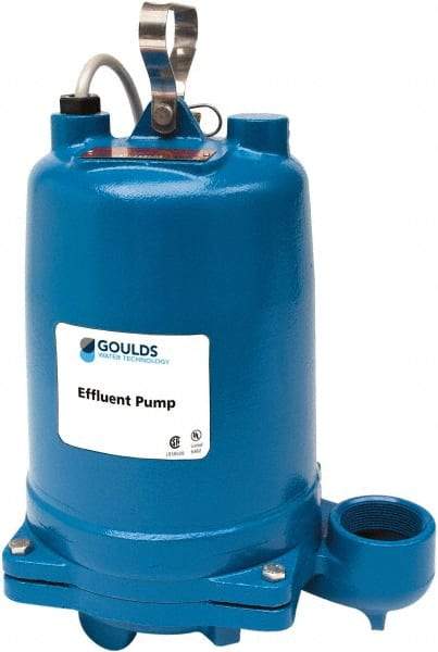 Goulds Pumps - 1/2 hp, 208 VAC Amp Rating, 208 VAC Volts, Single Speed Continuous Duty Operation, Effluent Pump - 1 Phase, Cast Iron Housing - Americas Tooling