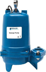 Goulds Pumps - 1 hp, 575 Amp Rating, 575 Volts, Single Speed Continuous Duty Operation, Sewage Pump - 3 Phase, Cast Iron Housing - Americas Tooling