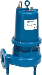 Goulds Pumps - 3 hp, 460 Amp Rating, 460 Volts, Single Speed Continuous Duty Operation, Sewage Pump - 3 Phase, Cast Iron Housing - Americas Tooling