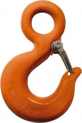 CM - Chain Grade 100, 2,700 Lbs. Load Limit Eye Rigging Hook with Latch - 0.93 Inch Hook Throat, 3.13 Inch Reach, 3/4 Inch Eye Inside Diameter, 0.21875 Inch Chain Diameter, 4.37 Inch Overall Length, 0.38 Inch Eye Thickness - Americas Tooling