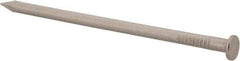 Made in USA - 16D, 8 Gauge, 3-1/2" OAL Common Nails - Smooth Shank, T304 Stainless Steel - Americas Tooling