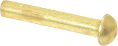 Made in USA - 1/8" Body Diam, Round Brass Solid Rivet - 3/4" Length Under Head - Americas Tooling