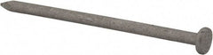 Value Collection - 10D, 9 Gauge, 3" OAL Common Nails - Ring Shank, Grade 2 Steel, Galvanized Finish - Americas Tooling