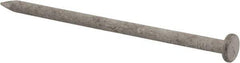 Value Collection - 16D, 8 Gauge, 3-1/2" OAL Common Nails - Ring Shank, Grade 2 Steel, Galvanized Finish - Americas Tooling