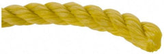 Value Collection - 600' Max Length Polypropylene Rope - 1/2" Diam, 472 Lb Capacity - Americas Tooling