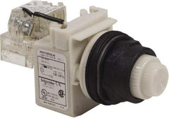 Schneider Electric - 120 V White Lens LED Press-to-Test Indicating Light - Round Lens, Screw Clamp Connector, Corrosion Resistant, Dust Resistant, Oil Resistant - Americas Tooling