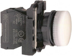 Schneider Electric - 110-120 VAC at 50/60 Hz White Lens LED Pilot Light - Round Lens, Screw Clamp Connector, 30mm Wide, Vibration Resistant, Water Resistant - Americas Tooling