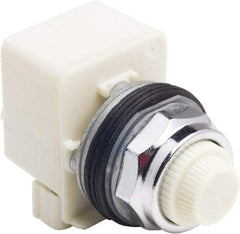 Schneider Electric - 120 V White Lens LED Indicating Light - Screw Clamp Connector - Americas Tooling