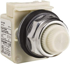 Schneider Electric - 120 VAC White Lens Indicating Light - Screw Clamp Connector - Americas Tooling