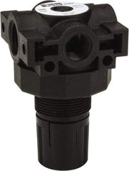 Parker - 3/8 NPT Port, Plastic Miniature Regulator - 0 to 25 psi Range, 150 Max psi Supply Pressure, 1/4" Gauge Port Thread, 2.06" Wide x 3.43" High - Americas Tooling