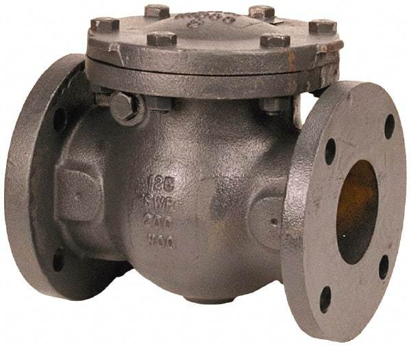 NIBCO - 2" 3% Nickel Check Valve - Flanged, 200 WOG - Americas Tooling