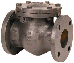 NIBCO - 8" Cast Iron Check Valve - Flanged, 200 WOG - Americas Tooling