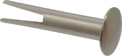 RivetKing - 0.1 to 0.17" Hole Diam, Dome Head, Nickel Plated Steel, Split Rivet - 5/16 Head Diam, 3/4" Length Under Head, 9/64 Body Diam - Americas Tooling