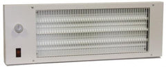 TPI - 22-3/4" Long, 580 BTU Radiant Heat Panel - 120 Volts, 170 Watts - Americas Tooling