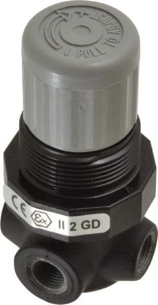 Norgren - 1/8" NPT Relief Valve - 0.7 CV Rate, 21 CFM, 100 Max psi, Knob Adjustment Actuator - Americas Tooling