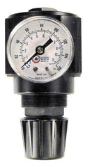 Coilhose Pneumatics - 3/8 NPT Port, 120 CFM, Cast Aluminum Standard Regulator - 0 to 60 psi Range, 250 Max psi Supply Pressure, 1/4" Gauge Port Thread, 2-3/4" Wide x 5-1/2" High - Americas Tooling