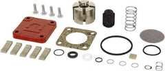 Tuthill - Repair Part Kit - For Use with Diaphragm Pumps - Americas Tooling