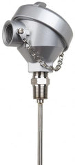 Thermo Electric - -148 to 900°F, 100 OMS Industrial RTD, Thermocouple Probe - 1/2 Inch Hex Mount, 12 Inch Probe Sheath Length, 10 Sec Response Time - Americas Tooling