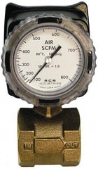 Made in USA - 2" NPT Port RCM Industries Flo-Gage Flowmeter - 180 Max psi, Bronze - Americas Tooling