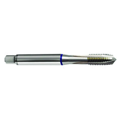 M5 x .80 3FL 6H PM Cobalt Spiral Point Plug Blue Ring Tap-Bright FORM-B - Americas Tooling