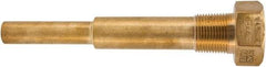 Winters - 6-3/4 Inch Overall Length, 3/4 Inch Thread, Brass Thermowell - 5 Inch Insertion Length - Americas Tooling