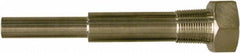 Winters - 6-3/4 Inch Overall Length, 3/4 Inch Thread, 304 Stainless Steel Thermowell - 5 Inch Insertion Length - Americas Tooling