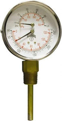 Winters - 3" Dial, 1/2 Thread, 0-75 Scale Range, Pressure Gauge - Lower Connection Mount, Accurate to 0.03% of Scale - Americas Tooling