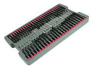 51PC PRECISION DRIVERS TRAY SET - Americas Tooling