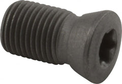 Iscar - Screw for Indexable Tools - - Exact Industrial Supply