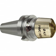 Guhring - BT30 HMC3000 28mm Shank Diam Taper Shank, 3mm Hole Diam, Hydraulic Tool Holder/Chuck - 55mm Projection, 34mm Clamp Depth, 30,000 RPM - Exact Industrial Supply