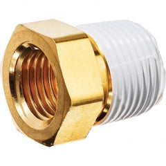 USA Sealing - 3/4 x 1/4" Brass Pipe Hex Bushing - Americas Tooling