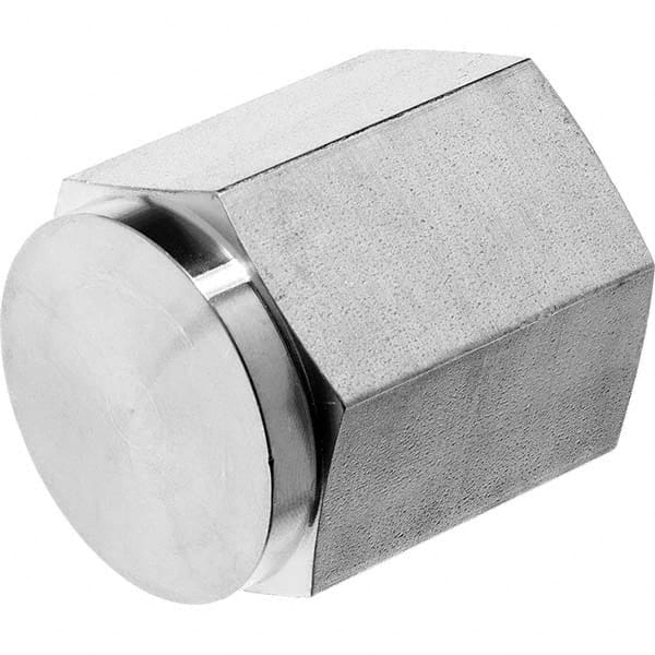 USA Sealing - 1/4" 316 Stainless Steel Pipe Hex Cap - Americas Tooling