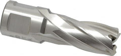 Hougen - 5/8" Diam x 1" Deep High Speed Steel Annular Cutter - Americas Tooling