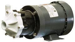 Little Giant Pumps - 1/3 HP, 40-1/2 Shut Off Feet, Magnetic Drive Pump - 1 Phase, 60 Hz - Americas Tooling