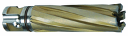 19MM X 50MM CARBIDE CUTTER - Americas Tooling