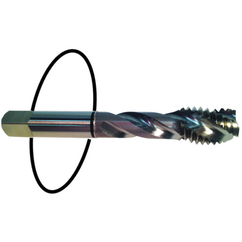 ‎8-32 Dia-H3-2 FL-Std Spiral Point Tap - Black Ring - Americas Tooling