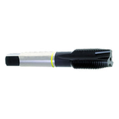 ‎M8 × 1.0 Dia-D5-3 FL-Std Spiral Point Tap-Yellow Ring - Americas Tooling