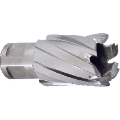 ‎5/8″ Dia-3/4″ Max Depth of Cut - M42 - Annual Cutter - Americas Tooling