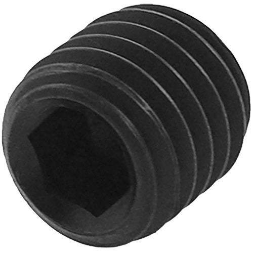 ‎SS10-250 10-32 X .250 SET SCREW